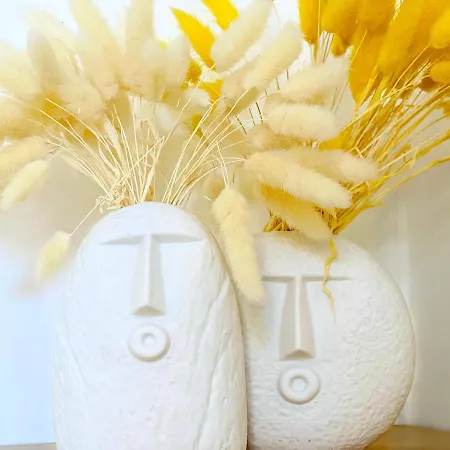 Sea - 2 Bedroom - Kitchen - Wifi - Tramway - Air Conditioner Nice